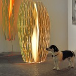dog and lamps